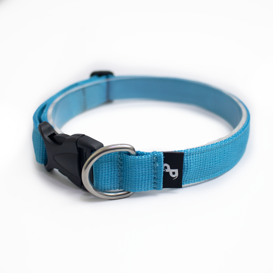 Collar Celeste